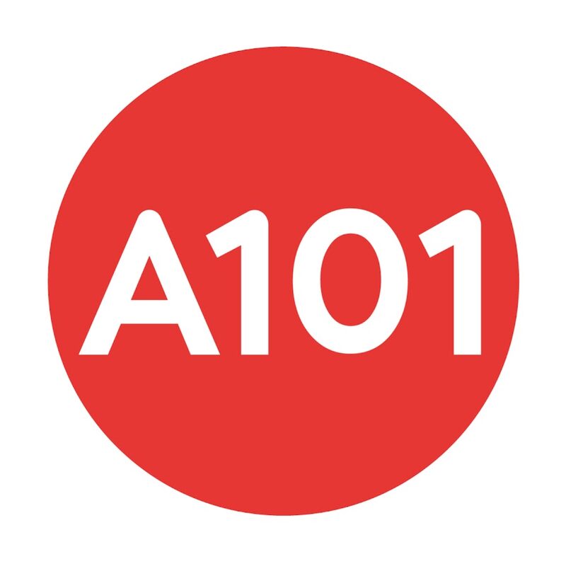 А101